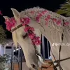 karima12310