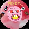 _prxzys_