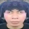 camel_misterius
