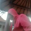 aris.tok38
