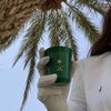 sherifa942