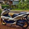 pcxmurupstyle