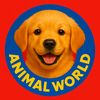 Animal World