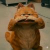 applepielafgarfield