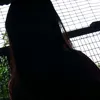 jpskj2