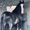 ak47arham7