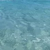 lyla_7877