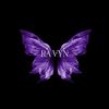 연합댄스팀 레이븐 ravyn