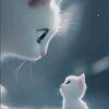 rahafahmed8349