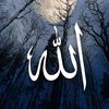 Amlyat ka Badsha
