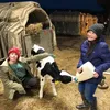 farmer8263