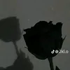 mhmadtalb611