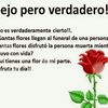 maria.teresa.pach85