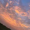 user1299_6
