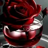 ramdane.dounia