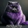 bolshoi.swin