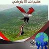 user4934029172136