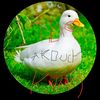 akduck321
