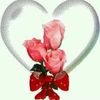 user2501907586082
