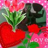 user4086231130018