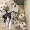 emonni_died