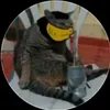 gato_scorpion1
