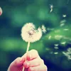 loveislife_1788