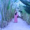 herawati.tarigan8