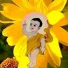 minsoekyaw178