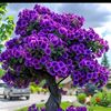 user2810087412193