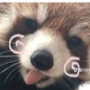igppp___s.irirat955