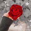 user791209686981
