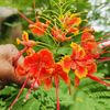 sanjida.aktar7345