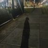 auliaaajaa__00