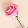 noor22ha4