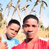bassias