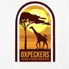 oxpeckers_safaris