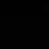 _fmo33