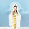 tuyt.ng860