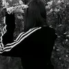 .lapkarwy