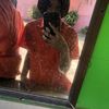 leeta_2011