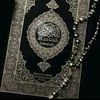 user71544225066127