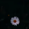 veee_eeeee