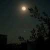 nona.ibrahim233