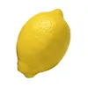 sabal_90