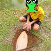 pupur96