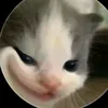 hyhyhehehaha.hyn