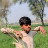 saleem.sab367