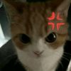 user5406606003575