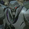 mary.decepticon